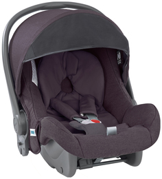 Детское автокресло Inglesina Huggy Multifix, Marron Glace