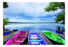 Пазл Educa Межсезонье 1000 деталей