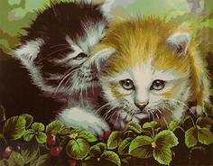 Картина по номерам Paintboy "Кошачья дружба", 40x50 см