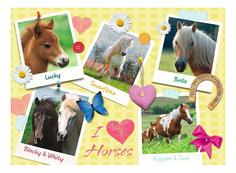 Пазл ravensburger «мои любимые лошади» xxl 300 элем.