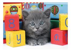 Пазл ravensburger светящийся «котенок с кубиками» xxl 300 элем.