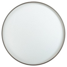 Настенно-потолочный светильник Sonex Geta Silver 2076/DL