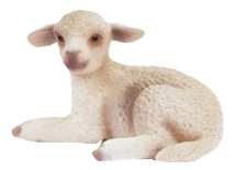 Фигурка животного Schleich Ягненок лежит 4005086132849