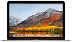 Ноутбук Apple MacBook MacBook 12 MNYJ2RU/A