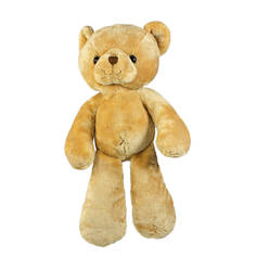 Мягкая игрушка Teddykompaniet медвежонок Эллиот, 27 см,2529