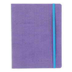 Дневник для 1-11 класов "Megapolis. Сиреневый" Альт