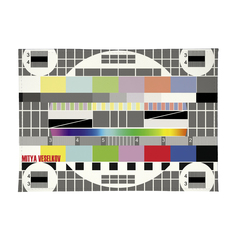 Обложка для паспорта ТВ-сетка Арт, OK034 Mitya Veselkov