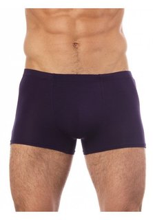 Трусы мужские UOMO FIERO 025FH синие L