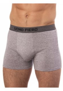 Трусы мужские UOMO FIERO 027FH серые L