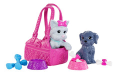 Игровой набор Barbie Doll & Pets DJR56