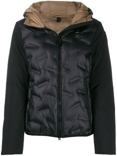 Blauer BLDC03091005476999