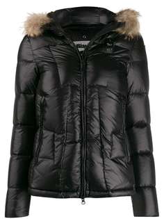 Blauer BLDC03086005050999