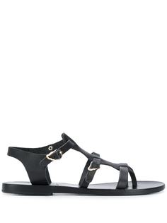 Ancient Greek Sandals сандалии Grace Kelly