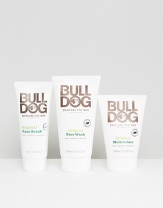 Набор средств по уходу за кожей Bulldog - Скидка 30%-Мульти