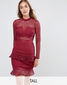 Сетчатое приталенное платье с оборкой по краю True Decadence Tall-Красный