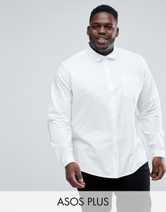Белая эластичная оксфордская рубашка классического кроя ASOS DESIGN Plus-Белый