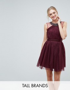 Короткое приталенное платье для выпускного с отделкой Little Mistress Tall-Красный