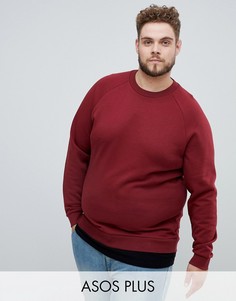 Бордовый свитшот со вставкой по низу ASOS DESIGN Plus-Красный