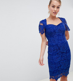 Ярко-голубое кружевное платье-футляр с вырезом сердечком Paper Dolls Petite-Синий