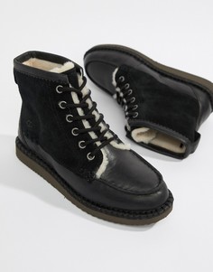 Черные ботинки на шнуровке Ugg Quinlin-Черный