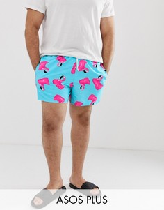 Короткие шорты для плавания с принтом фламинго ASOS DESIGN Plus-Синий