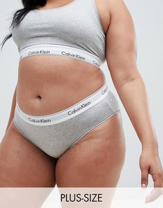 Серые хлопковые трусы большого размера Calvin Klein-Серый