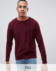 Свитшот из махровой ткани Jacamo Tall-Красный
