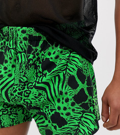 Зеленые шорты со звериным принтом Reclaimed Vintage-Зеленый