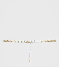 Эксклюзивное позолоченное ожерелье-чокер в виде цепочки с изящным дизайном Kingsley Ryan-Золотой