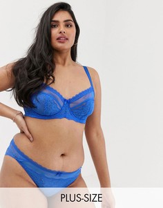 Синий кружевной бюстгальтер с мягкими чашечками Dorina Plus Size Maureen