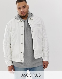 Белая джинсовая куртка в фиолетовую полоску ASOS DESIGN Plus-Белый