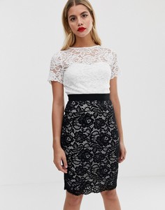 Облегающее кружевное платье миди два в одном Paper Dolls-Мульти