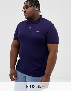 Темно-синее поло с логотипом Lacoste-Темно-синий