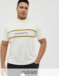 Белая футболка с полосками Lacoste-Белый