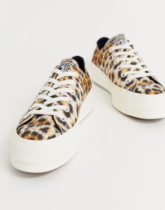 Кеды на платформе с леопардовым принтом Converse Chuck Taylor Ox-Черный
