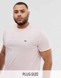 Розовая футболка с круглым вырезом и логотипом Lacoste-Розовый