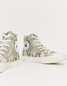 Высокие кеды со змеиным принтом Converse Chuck Taylor All Star-Серый