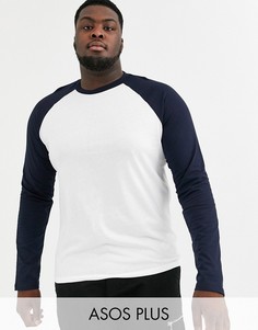 Белый лонгслив с синими рукавами реглан и круглым вырезом ASOS DESIGN Plus-Мульти