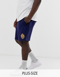 Темно-синие трикотажные шорты с логотипом Polo Ralph Lauren Big & Tall-Темно-синий
