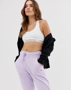 Классические джоггеры Tommy Jeans-Фиолетовый