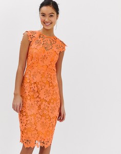 Оранжевое кружевное платье миди с фигурными краями Paper Dolls-Оранжевый