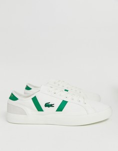 Белые парусиновые кеды Lacoste Sideline-Белый