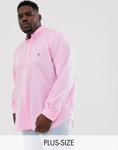 Розовая окрашенная приталенная рубашка с пуговицами и логотипом Polo Ralph Lauren Big & Tall-Розовый