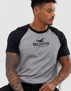 Серая бейсбольная футболка с рукавами реглан и логотипом Hollister-Серый