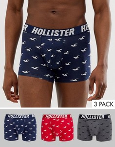Набор из 3 боксеров-брифов с логотипом на поясе и принтом чаек Hollister-Мульти