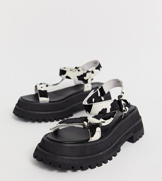 Эксклюзивные сандалии на толстой подошве Jeffrey Campbell Panorama-Мульти