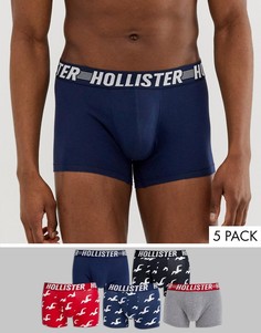 Набор из 5 боксеров-брифов с логотипом на поясе и принтом чаек Hollister-Мульти