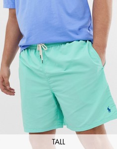 Зеленые шорты для плавания с логотипом Polo Ralph Lauren Big & Tall - Traveler-Зеленый