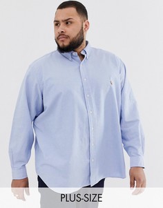 Голубая оксфордская рубашка на пуговицах с логотипом Polo Ralph Lauren Big & Tall-Синий