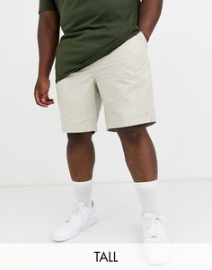 Светло-бежевые шорты-чиносы с логотипом Polo Ralph Lauren Big & Tall - Prepster-Светло-бежевый